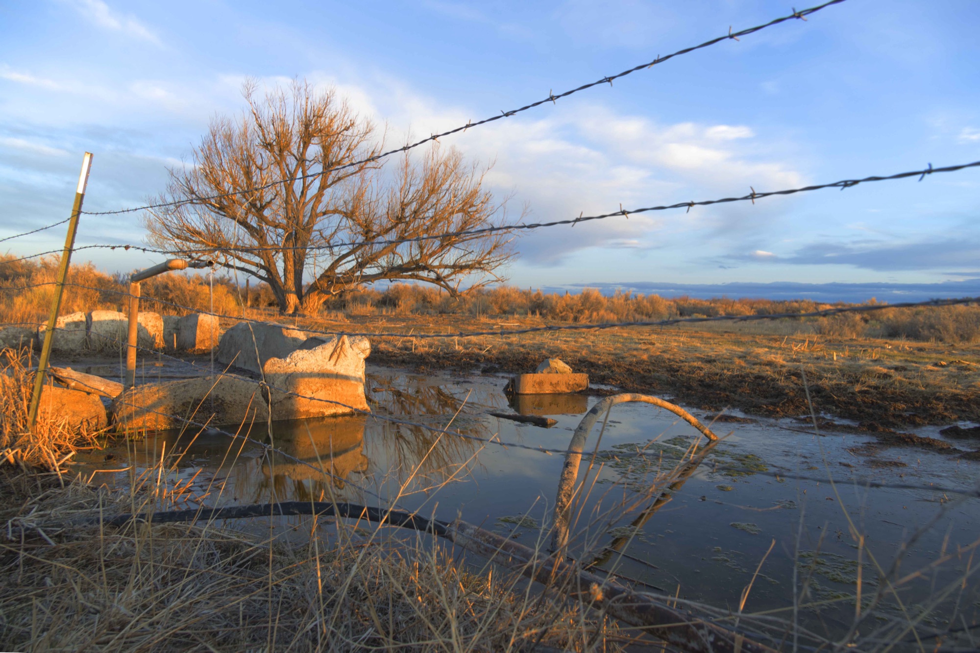 A well east of the refuge, in color