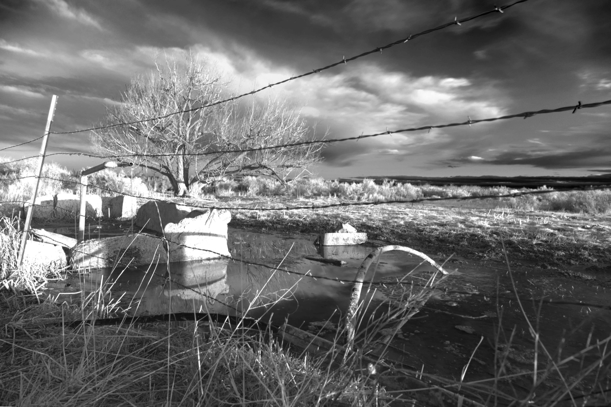 A well east of the refuge, in black and white